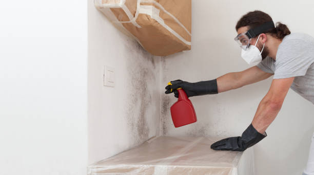 Professional Basement Mold Removal technician working in Strasburg, PA